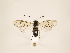 ( - ZMUO.032271)  @13 [ ] CreativeCommons - Attribution Non-Commercial (2018) Marko Mutanen University of Oulu