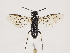  ( - ZMUO.032286)  @14 [ ] CreativeCommons - Attribution Non-Commercial (2018) Marko Mutanen University of Oulu