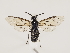  ( - ZMUO.032295)  @13 [ ] CreativeCommons - Attribution Non-Commercial (2018) Marko Mutanen University of Oulu