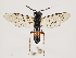  ( - ZMUO.032304)  @14 [ ] CreativeCommons - Attribution Non-Commercial (2018) Marko Mutanen University of Oulu