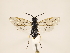  ( - ZMUO.032309)  @12 [ ] CreativeCommons - Attribution Non-Commercial (2018) Marko Mutanen University of Oulu