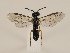 ( - ZMUO.032312)  @13 [ ] CreativeCommons - Attribution Non-Commercial (2018) Marko Mutanen University of Oulu