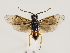  ( - ZMUO.032315)  @13 [ ] CreativeCommons - Attribution Non-Commercial (2018) Marko Mutanen University of Oulu