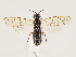  ( - ZMUO.032325)  @13 [ ] CreativeCommons - Attribution Non-Commercial (2018) Marko Mutanen University of Oulu