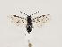  ( - ZMUO.032334)  @15 [ ] CreativeCommons - Attribution Non-Commercial (2018) Marko Mutanen University of Oulu