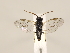  ( - ZMUO.032360)  @12 [ ] CreativeCommons - Attribution Non-Commercial (2018) Marko Mutanen University of Oulu