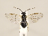  ( - ZMUO.032362)  @12 [ ] CreativeCommons - Attribution Non-Commercial (2018) Marko Mutanen University of Oulu
