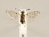  ( - ZMUO.032365)  @13 [ ] CreativeCommons - Attribution Non-Commercial (2018) Marko Mutanen University of Oulu