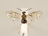  ( - ZMUO.032366)  @11 [ ] CreativeCommons - Attribution Non-Commercial (2018) Marko Mutanen University of Oulu