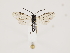  ( - ZMUO.032370)  @13 [ ] CreativeCommons - Attribution Non-Commercial (2018) Marko Mutanen University of Oulu