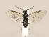  ( - ZMUO.032372)  @14 [ ] CreativeCommons - Attribution Non-Commercial (2018) Marko Mutanen University of Oulu