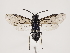  ( - ZMUO.032386)  @12 [ ] CreativeCommons - Attribution Non-Commercial (2018) Marko Mutanen University of Oulu