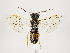  ( - ZMUO.032397)  @13 [ ] CreativeCommons - Attribution Non-Commercial (2018) Marko Mutanen University of Oulu