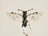  ( - ZMUO.032404)  @12 [ ] CreativeCommons - Attribution Non-Commercial (2018) Marko Mutanen University of Oulu