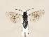  ( - ZMUO.032405)  @11 [ ] CreativeCommons - Attribution Non-Commercial (2018) Marko Mutanen University of Oulu