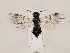 ( - ZMUO.032417)  @13 [ ] CreativeCommons - Attribution Non-Commercial (2018) Marko Mutanen University of Oulu