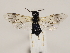 ( - ZMUO.032420)  @13 [ ] CreativeCommons - Attribution Non-Commercial (2018) Marko Mutanen University of Oulu