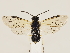  ( - ZMUO.032439)  @13 [ ] CreativeCommons - Attribution Non-Commercial (2018) Marko Mutanen University of Oulu