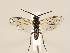  ( - ZMUO.032465)  @11 [ ] CreativeCommons - Attribution Non-Commercial (2018) Marko Mutanen University of Oulu