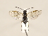  ( - ZMUO.032467)  @13 [ ] CreativeCommons - Attribution Non-Commercial (2018) Marko Mutanen University of Oulu