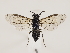  ( - ZMUO.032474)  @12 [ ] CreativeCommons - Attribution Non-Commercial (2018) Marko Mutanen University of Oulu