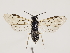  ( - ZMUO.032476)  @12 [ ] CreativeCommons - Attribution Non-Commercial (2018) Marko Mutanen University of Oulu