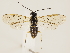  ( - ZMUO.032486)  @13 [ ] CreativeCommons - Attribution Non-Commercial (2018) Marko Mutanen University of Oulu