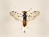  ( - ZMUO.032511)  @12 [ ] CreativeCommons - Attribution Non-Commercial (2018) Marko Mutanen University of Oulu