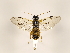  ( - ZMUO.032519)  @11 [ ] CreativeCommons - Attribution Non-Commercial (2018) Marko Mutanen University of Oulu