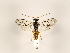 ( - ZMUO.032520)  @13 [ ] CreativeCommons - Attribution Non-Commercial (2018) Marko Mutanen University of Oulu