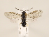  ( - ZMUO.032526)  @12 [ ] CreativeCommons - Attribution Non-Commercial (2018) Marko Mutanen University of Oulu