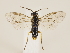  ( - ZMUO.032540)  @12 [ ] CreativeCommons - Attribution Non-Commercial (2018) Marko Mutanen University of Oulu