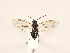  ( - ZMUO.032546)  @12 [ ] CreativeCommons - Attribution Non-Commercial (2018) Marko Mutanen University of Oulu