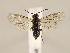  ( - ZMUO.032548)  @12 [ ] CreativeCommons - Attribution Non-Commercial (2018) Marko Mutanen University of Oulu