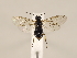  ( - ZMUO.032549)  @12 [ ] CreativeCommons - Attribution Non-Commercial (2018) Marko Mutanen University of Oulu