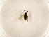  ( - ZMUO.032551)  @12 [ ] CreativeCommons - Attribution Non-Commercial (2018) Marko Mutanen University of Oulu