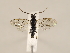  ( - ZMUO.032564)  @12 [ ] CreativeCommons - Attribution Non-Commercial (2018) Marko Mutanen University of Oulu