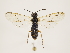  ( - ZMUO.032574)  @13 [ ] CreativeCommons - Attribution Non-Commercial (2018) Marko Mutanen University of Oulu