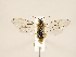  ( - ZMUO.032578)  @13 [ ] CreativeCommons - Attribution Non-Commercial (2018) Marko Mutanen University of Oulu