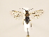  ( - ZMUO.032589)  @12 [ ] CreativeCommons - Attribution Non-Commercial (2018) Marko Mutanen University of Oulu