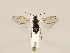  ( - ZMUO.032598)  @13 [ ] CreativeCommons - Attribution Non-Commercial (2018) Marko Mutanen University of Oulu