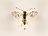  ( - ZMUO.032614)  @12 [ ] CreativeCommons - Attribution Non-Commercial (2018) Marko Mutanen University of Oulu