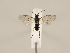  ( - ZMUO.032616)  @12 [ ] CreativeCommons - Attribution Non-Commercial (2018) Marko Mutanen University of Oulu