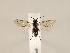  ( - ZMUO.032618)  @12 [ ] CreativeCommons - Attribution Non-Commercial (2018) Marko Mutanen University of Oulu