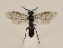  ( - ZMUO.032634)  @12 [ ] CreativeCommons - Attribution Non-Commercial (2018) Marko Mutanen University of Oulu