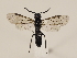  ( - ZMUO.032635)  @14 [ ] CreativeCommons - Attribution Non-Commercial (2018) Marko Mutanen University of Oulu