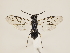  ( - ZMUO.032636)  @12 [ ] CreativeCommons - Attribution Non-Commercial (2018) Marko Mutanen University of Oulu