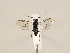  ( - ZMUO.032672)  @12 [ ] CreativeCommons - Attribution Non-Commercial (2018) Marko Mutanen University of Oulu