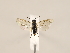  ( - ZMUO.032689)  @12 [ ] CreativeCommons - Attribution Non-Commercial (2018) Marko Mutanen University of Oulu