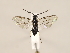  ( - ZMUO.032690)  @13 [ ] CreativeCommons - Attribution Non-Commercial (2018) Marko Mutanen University of Oulu